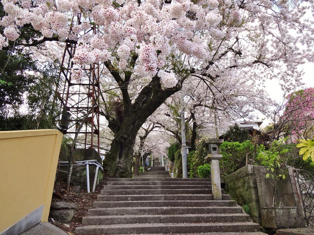 ホテル 参道の旅籠 伊豆梛 熱海市 エクステリア 写真